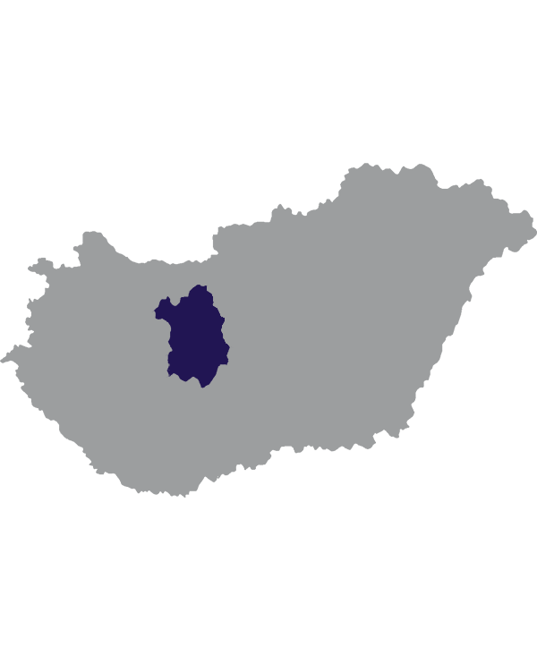 Landkaart Hongarije grijs met comitaat Fejér donkerblauw op transparante achtergrond - 600 * 733 pixels